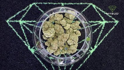 White Widow - Fleur de Chanvre Légendaire