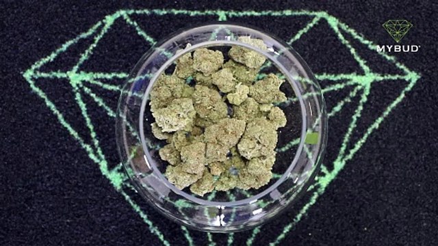 White Widow - Fleur de Chanvre Légendaire