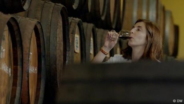 The birthplace of Port: A journey to the Douro Valley