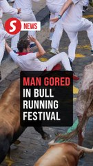 One gored, seven wounded in Spain's bull running festival