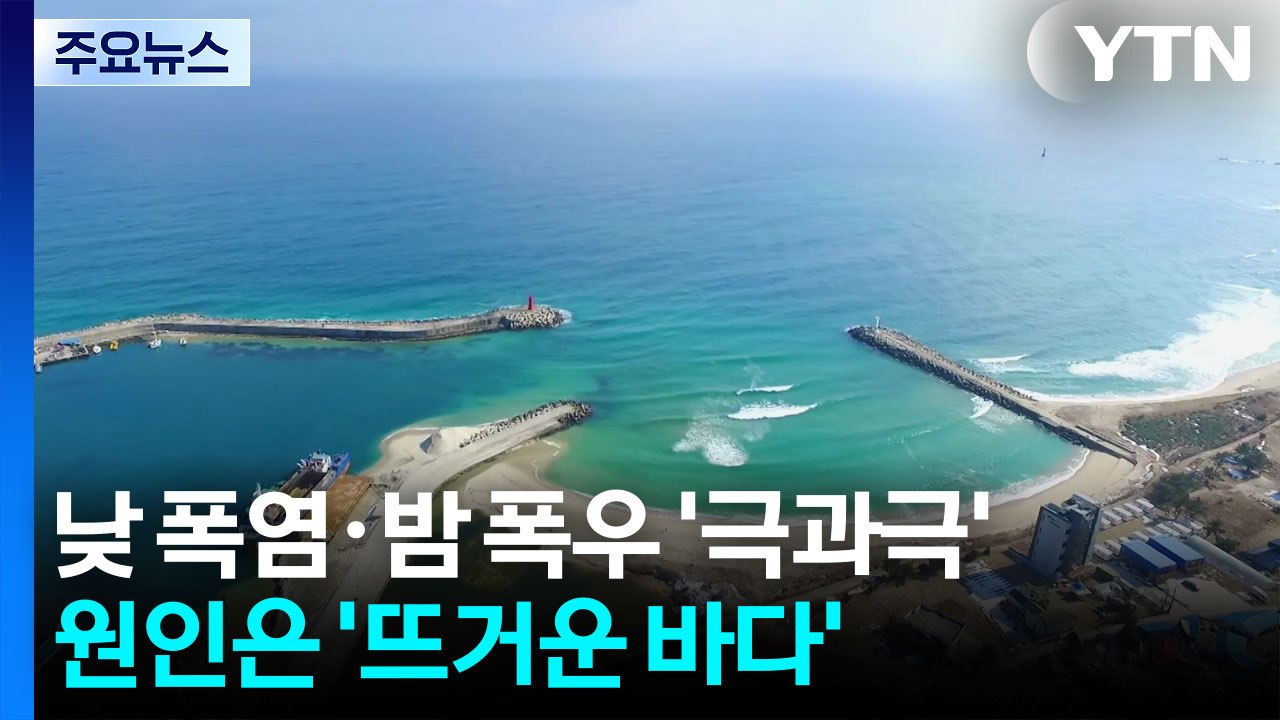 낮 폭염·밤 폭우 '극과극'...원인은 '뜨거운 바다' / YTN