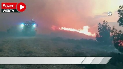 Fransa'da orman yangını