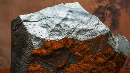 मंगल से आया सबसे बड़ा meteorite NWA 16788 की नीलामी
