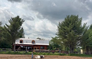 Mare Throws Off Rider to Ground and Falls on Top of Her