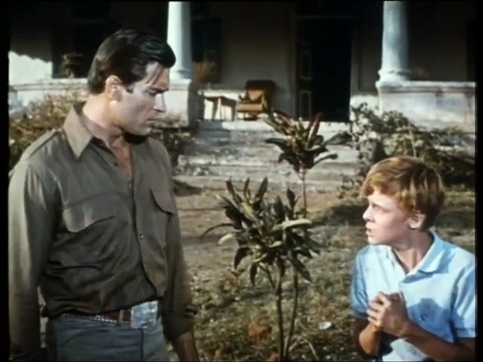 Gefahr im Tal der Tiger