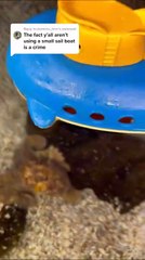 Une pieuvre énorme s'en prend à un sous-marin