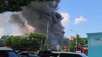 경기 광명 창고형 비닐하우스 큰불...3명 경상 / YTN