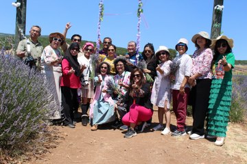 Bu tarlalardan deklanşör sesleri yükseliyor! Turistlerin uğrak adresi oldu