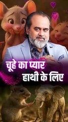 चूहे का प्यार हाथी के लिए || आचार्य प्रशांत