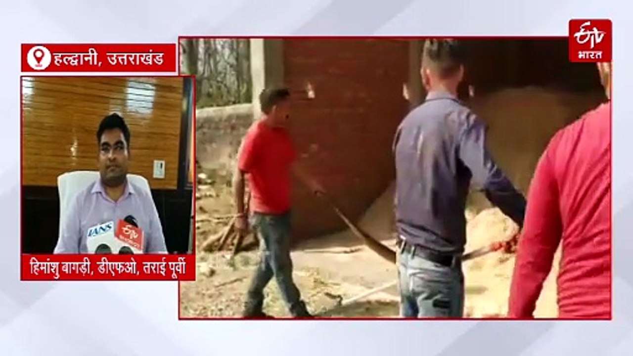 बाघ और गुलदार से भी ज्यादा खतरनाक है ये साइलेंट...