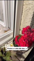 Découvre ta phobie : Es-tu fasciné ou terrifié par certaines peurs ?🕷️