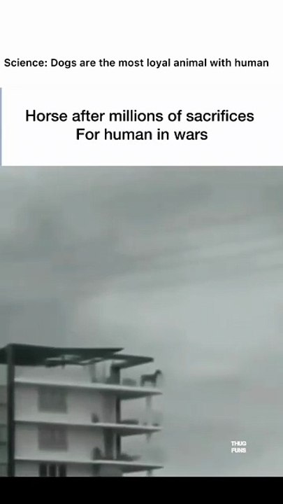 Horse after knowing this