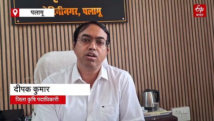 पलामू में जून महीने में सामान्य से दोगुना हुई बारिश ! 52 हजार हेक्टेयर में है धान की रोपनी का टारगेट