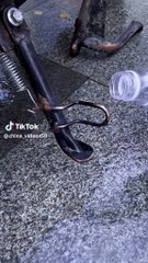 a9547d47a1f381e5bcedc285b2f3b55e