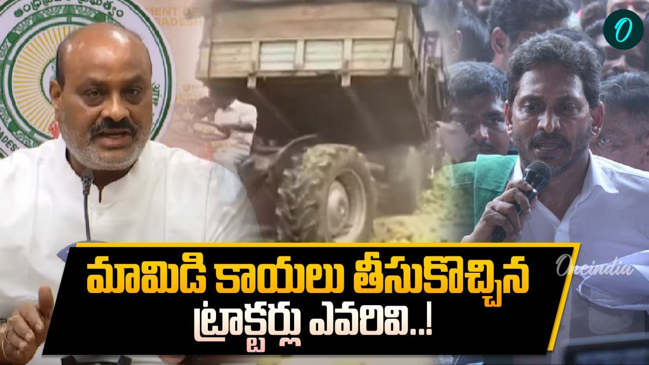 AP News: మామిడికాయలు కింద పడేసి తొక్కిస్తారా! | Oneindia Telugu