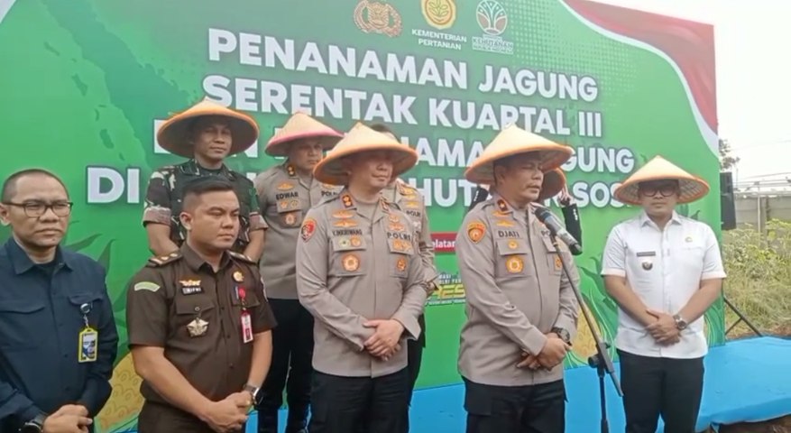 Penanaman Jagung Secara Serentak Pada Kwartal III