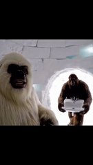 Yeti makes a home in ice for 3 three days