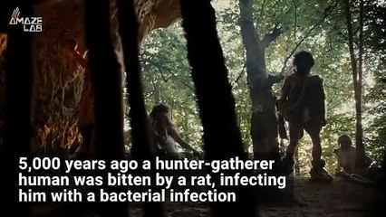 This is How the Black Plague Evolved To Kill So Many People