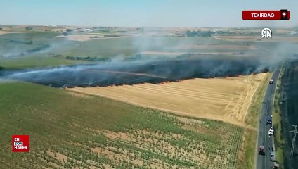 Tekirdağ'da tarım alanında başlayan yangın söndürüldü