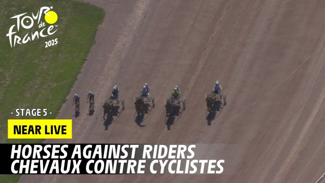 Stage 5 - Horses angainst Riders