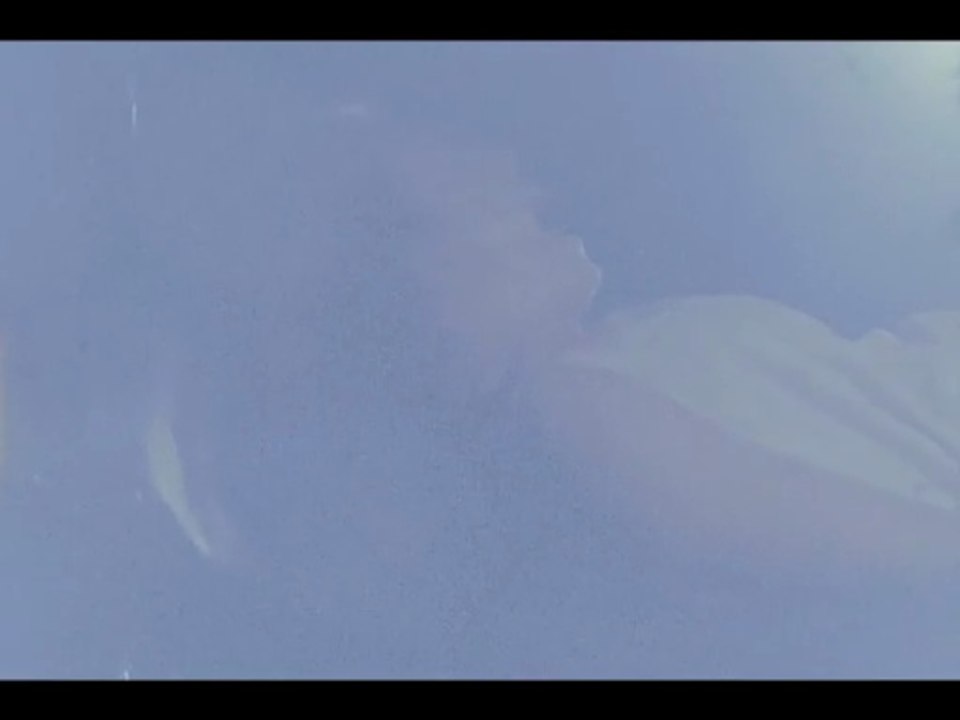 Allan Grey Trailer DF