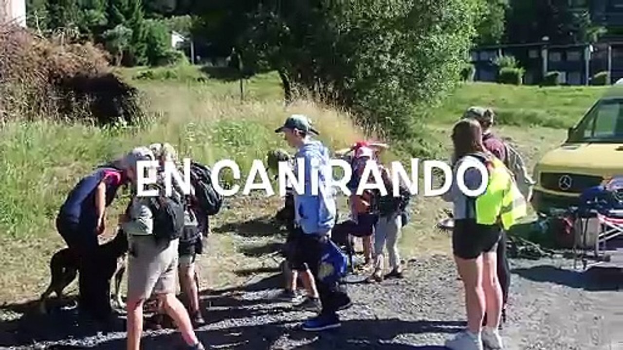 Les Mouflons en Cani-Rando