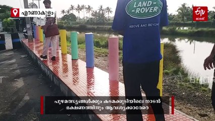 പ്രകൃതിയുടെ ക്യാൻവാസിൽ വിരിഞ്ഞ സൗന്ദര്യം, യാത്ര പോകാം വിസ്‌മയിപ്പിക്കുന്ന കടമക്കുടിയുടെ വശ്യ മനോഹാരിതയിലേക്ക്