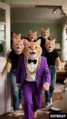 Funny Cat Animation 😂 | YouTube Shorts