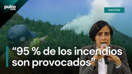 Ministra de Ambiente dice que “el 95_ de los incendios son provocados” _ Pulzo