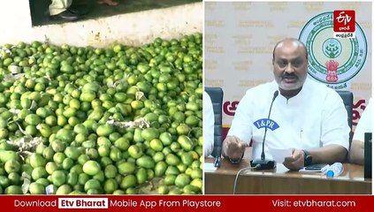 అలజడికి వైఎస్సార్సీపీ ప్లాన్​ - జగన్ కుట్రల్ని తిప్పికొట్టాలి: సీఎం చంద్రబాబు