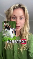 Meet Dizzy, Animals in Distress spotlight MDA