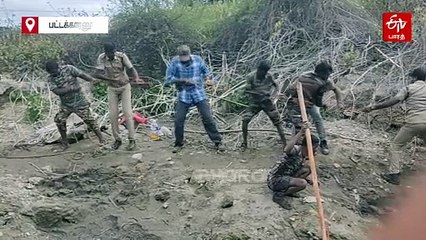 தடுப்பணையில் பதுங்கியிருந்த முதலை வனத்துறையினர் வைத்த சுருக்கில் சிக்கியது எப்படி?