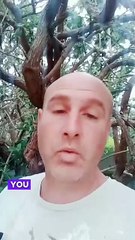 You Won't Believe What ChatGPT Can Do