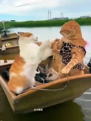 Kitty's Boating Adventure"