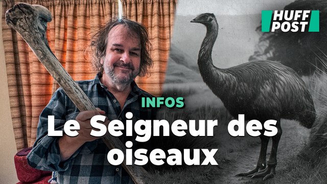 Peter Jackson veut faire revivre le moa, un oiseau disparu de Nouvelle-Zélande comme dans « Jurassic Park »