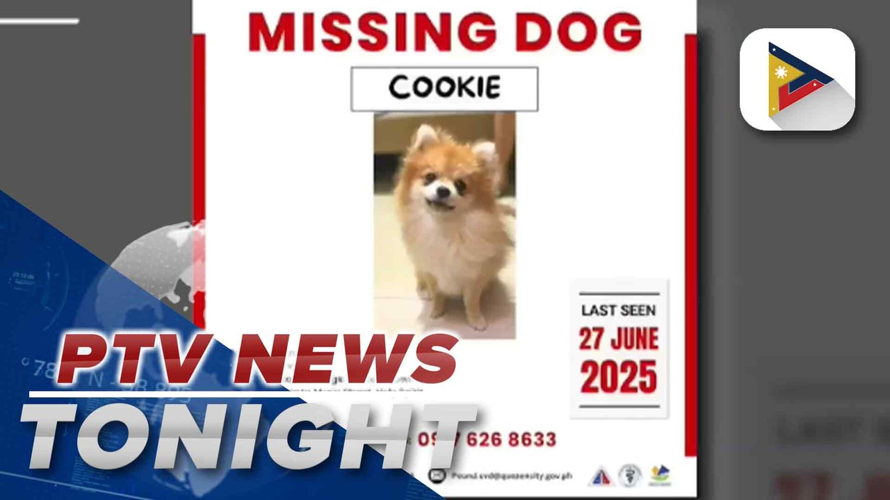 QC animal pound urges residents to help find lost pets