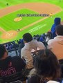 “Lady Patadas”: la joven que agredió a un hombre en un partido de béisbol (Video)