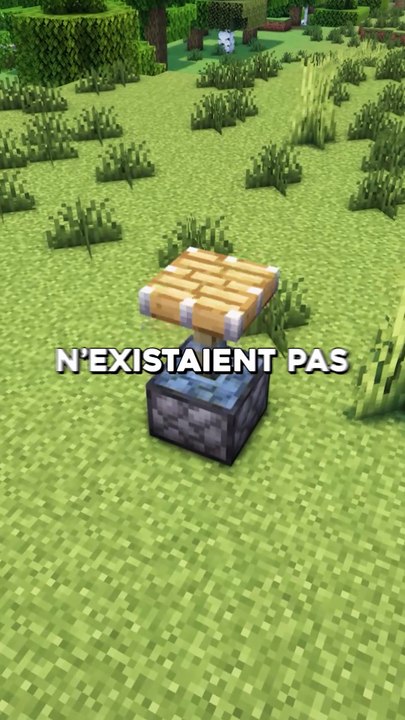 Si ça n'existait pas sur Minecraft