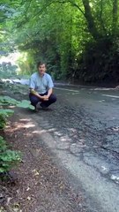 Haslemere resident Roger Lowry first raised the alarm on the lethal Petworth Rd years ago