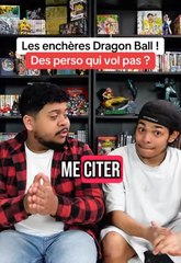 Citez moi des personnages qui ne vol pas dans Dragon Ball !