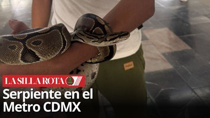 Serpiente en el Metro CDMX: Detienen a menor en la estación Potrero
