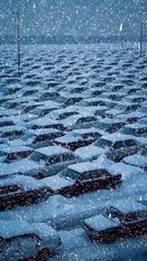 Unbelievable Snowfall Leaves Roads Frozen with Cars!