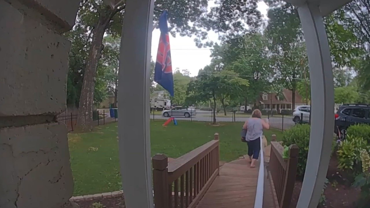 Security Cam Chronicles