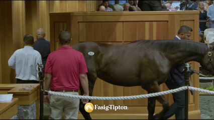 2025 Fasig-Tipton Saratoga Sale - Success