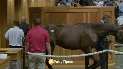 Fasig-Tipton Saratoga Sale - Success 2