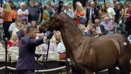 2025 Fasig-Tipton Saratoga Sale - Crown Jewel 3