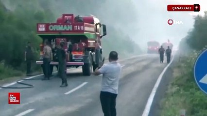 Çanakkale Bayramiç'te orman yangını