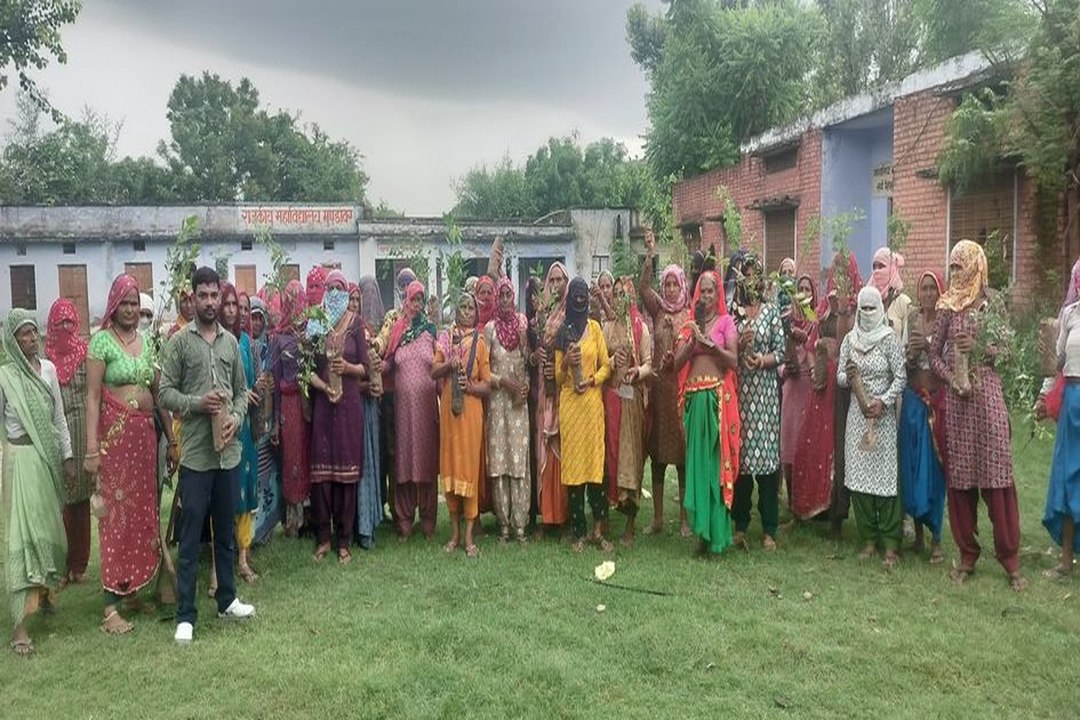 पत्रिका हरयाळो राजस्थान अभियान: पौधे लगाकर किया प्रकृति का शृंगार.... देखें वीडियो ..