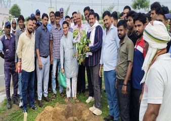 दिल्ली-मुंबई सुपर एक्सप्रेस-वे के पिनान रेस्ट एरिया में किया पौधरोपण