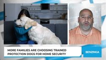 More Families Are Choosing Trained Protection Dogs For Home Security